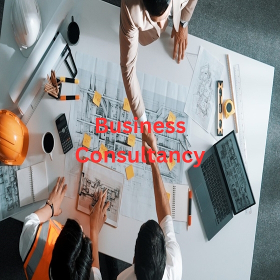 Business Consultancy