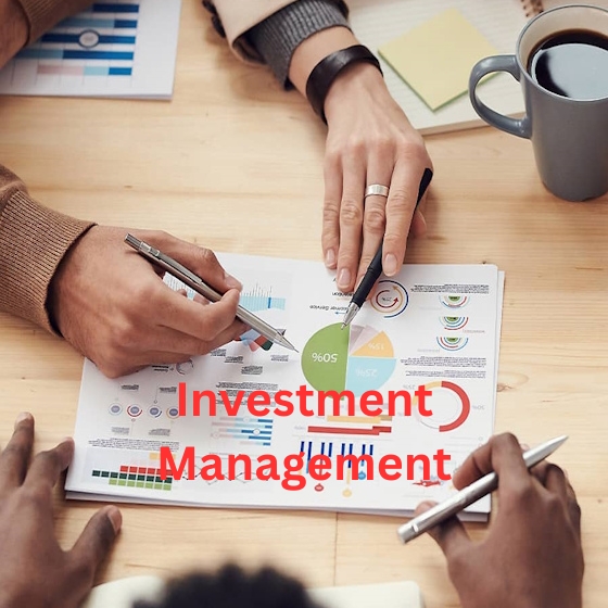 Investment Management